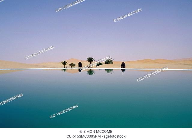 Palm tree reflection in desert