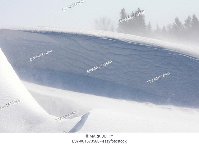 Snow Bank in Winter Storm Saskatchewan