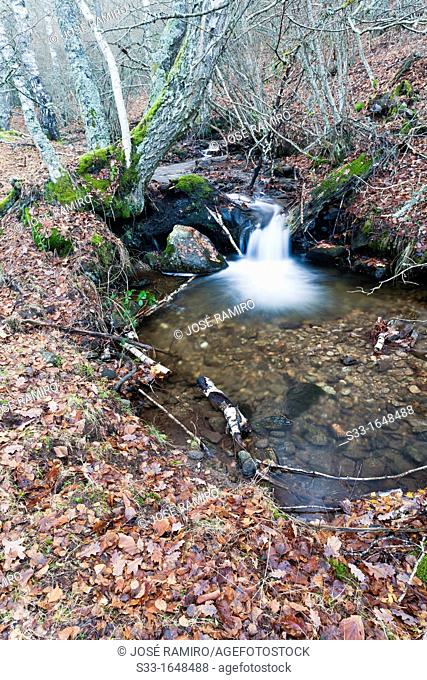 The Dehesa stream in the Sierra Norte  Somosierra  Madrid  Spain