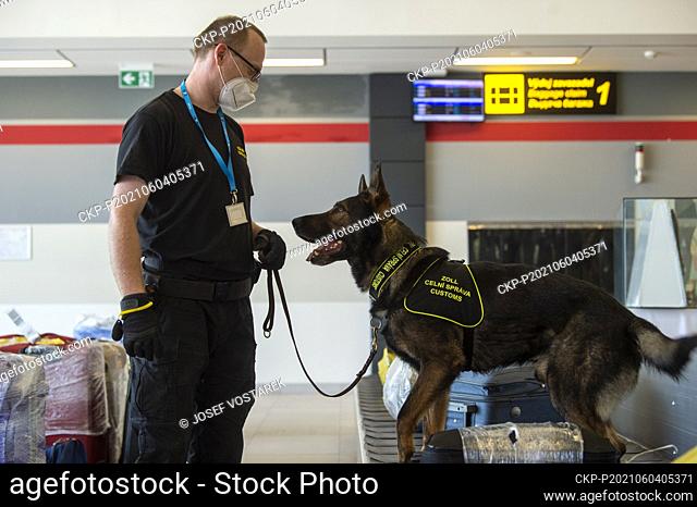 A customs service dog sniffs the luggage of passengers waiting to depart for Kiev in the lobby of Pardubice Airport, Czech Republic, on Friday, June 4th, 2021