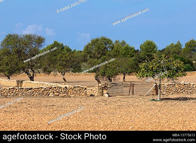 Agricultural land, Cap Barbaria, Formentera