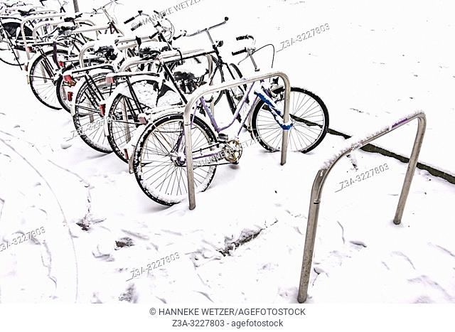 Snowed under bicycles in Eindhoven, The Netherlands, Europe