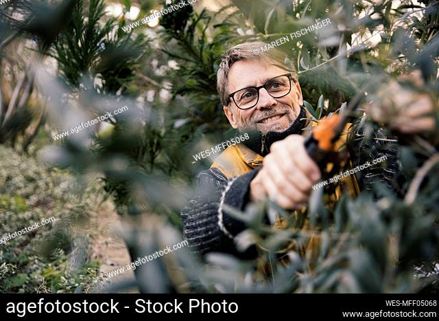 Portrait of smiling mature man pruning olive tree
