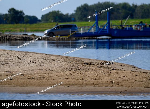 11 July 2023, Saxony-Anhalt, Magdeburg: A sandbank can be seen in the Elbe river. Behind it, cars drive from the ""Saalhorn Barby ferry""