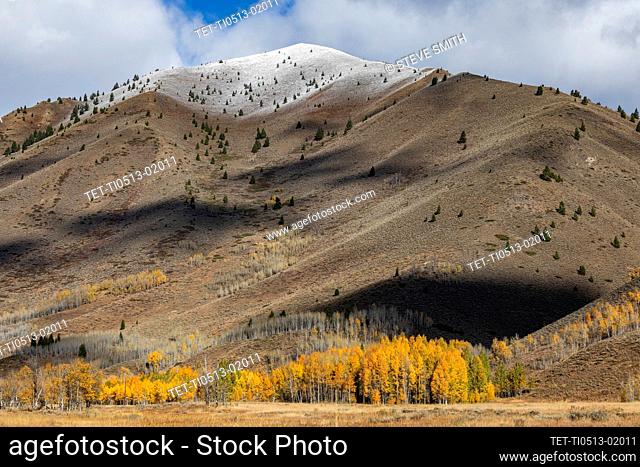 United States, Idaho, Sun Valley, Landscape with snowy mountains and autumn foliage