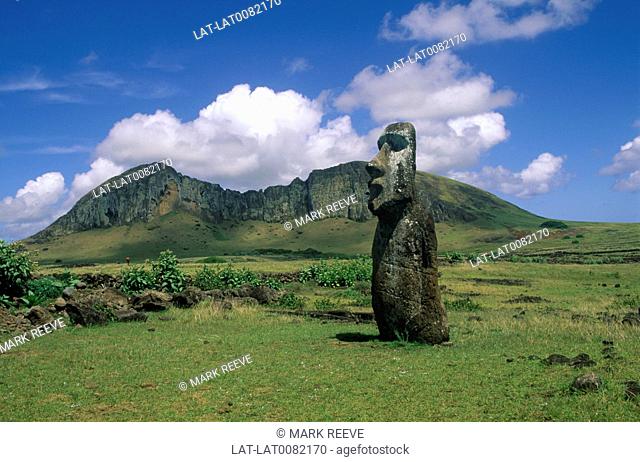 The volcanic landscape of the Rano Raraku crater. A huge stone carved giant moai/ stone head and torso statue standing upright