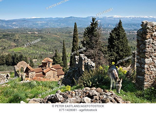 The hill of Mystra with its Byzantine ruins, looking towards mount Parnon in the, Peloponnese, Greece