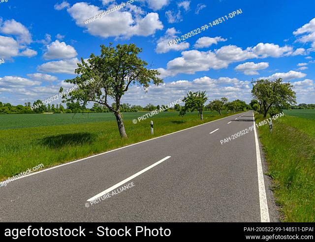 20 May 2020, Brandenburg, Reitwein: A road in Oderbruch. Photo: Patrick Pleul/dpa-Zentralbild/ZB. - Reitwein/Brandenburg/Germany