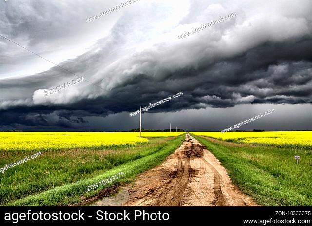 Storm Clouds Prairie crop canola and road