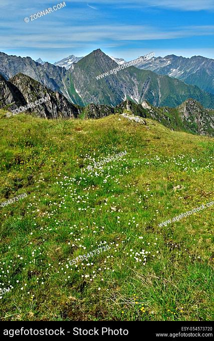 Zillertaler Alpen, Blick vom Wandergebiet Ahorn bei Mayrhofen zu den Dreitausendern, Österreich