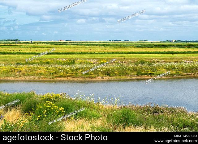 Netherlands, Texel, nature monument, Waalenburg, protected landscape area, polder