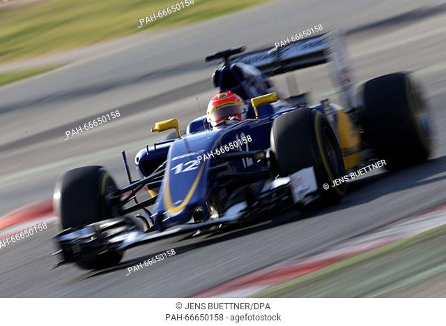 Brazilian Formula One driver Felipe Nasr of Sauber steers his car during the training session for the upcoming Formula One season at the Circuit de Barcelona -...