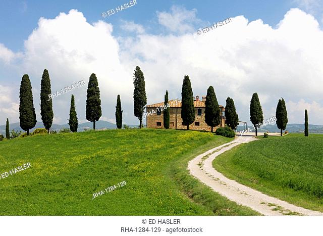 Tuscan villa, winding path and cypress trees with blue sky near Pienza, Tuscany, Italy, Europe
