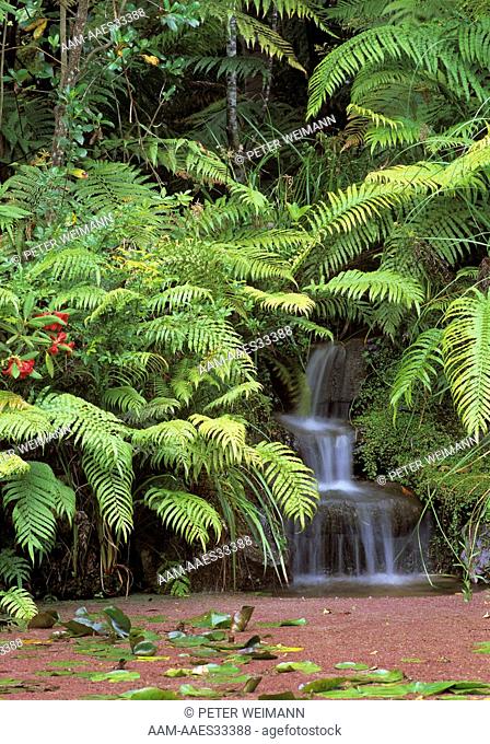 Rapaura Watergarden, Coromandel Peninsula, Tapu, New Zealand