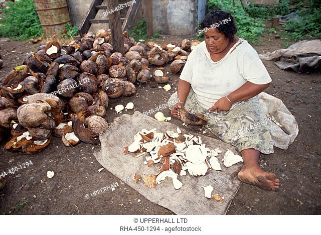 A woman copra worker scooping out coconut kernels before smoking, on Taveuni Island, Fiji, Pacific Islands, Pacific