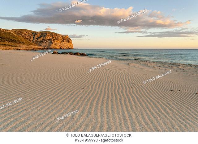 Albarca sand, - arenalet des Verger-, Llevant Natural Park, Artà. Mallorca, Balearic Islands, Spain