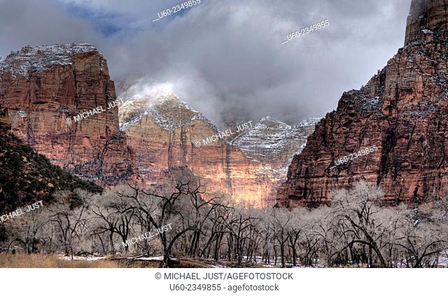 Fresh snow has fallen on the steep canyon walls at Zion National Park, Utah
