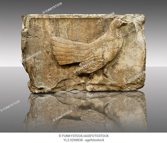 Wild Foul freeze from the east side of Tomb of Kybernis also known as the "Harpy Tomb" (480 B. C). Kybernis was a Lycian ruler of Xanthos who led the Lycian...