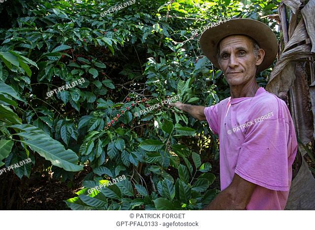 FARMHAND ON THE COFFEE PLANTATION, CASA GUACHINANGO, OLD 18TH CENTURY HACIENDA, LOS INGENIOS VALLEY, LISTED AS A WORLD HERITAGE SITE BY UNESCO, CUBA