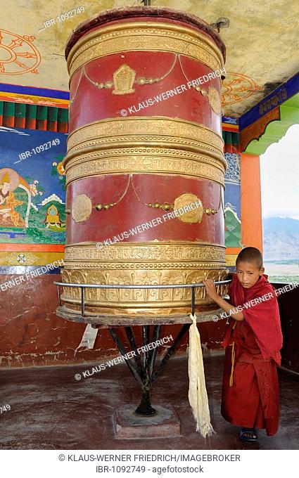 Thikse Monastery, novice, a little boy turning a large prayer wheel, Ladakh, Jammu and Kashmir, North India, Himalayas, Asia