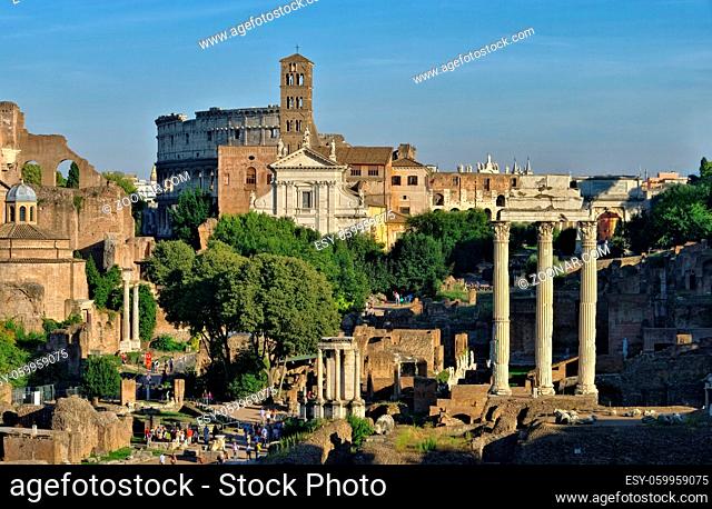 Rom Forum - Rome Forum 01