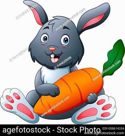 Carrying rabbit carrot Stock Photos and Images | agefotostock