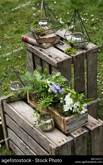 Crate with wild flowers, decorations for a woodland naming ceremony