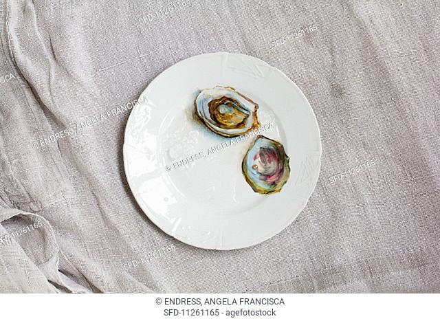 Two oyster shells on a porcelain plate, one with a pearl in