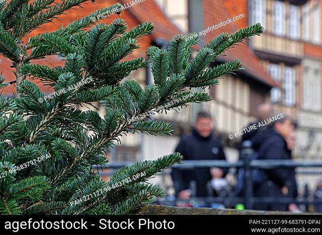 27 November 2022, Saxony-Anhalt, Quedlinburg: Fir trees decorate the Advent town in Quedlinburg. Quedlinburg once again attracted thousands of visitors to the...