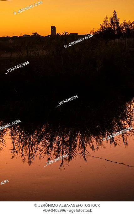 Sunrise. Rice fields in the Guadalquivir river delta near Los Palacios y Villafranca, Sevilla province. Southern Andalusia, Spain. Europe