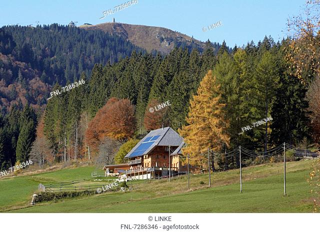 House under the Feldberg in the Black Forest, Germany