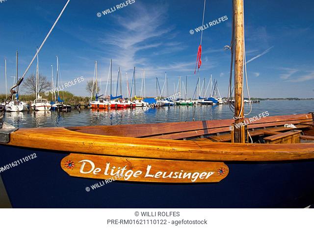 Sailing boats on lake Dümmer, Olgahafen, Dümmerlohhausen, district Diepholz, Niedersachsen, Germany / Segelboote auf dem Dümmer, Olgahafen, Dümmerlohhausen
