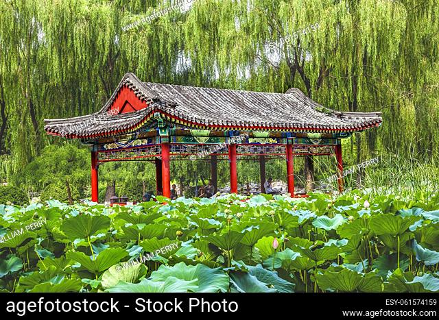 Red Pavilion Lotus Garden Temple of Sun Ritan City Park, Beijing China Willow Green Trees