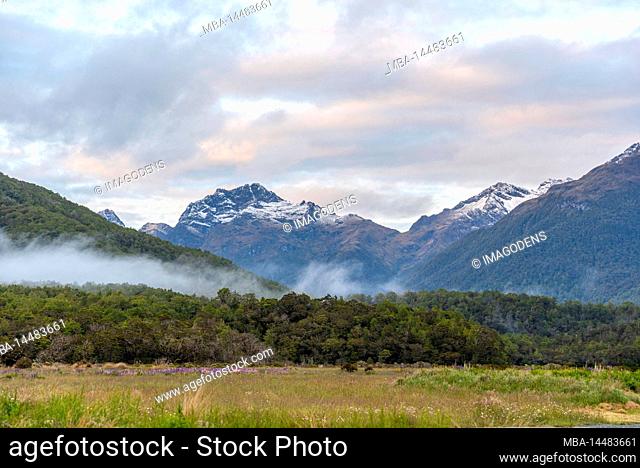 Beautiful alpine landscape in a valley to Milford Sound, South Island of New Zealand