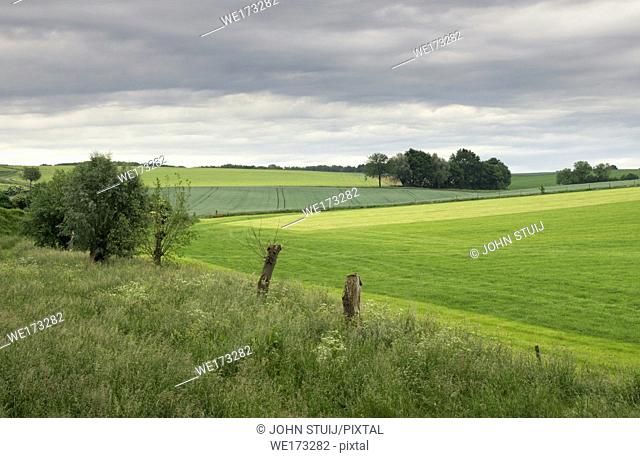Landscape near Wijlre in the Dutch most hilly province Limburg