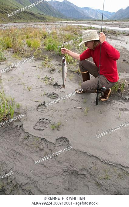 Woman with fishing pole and Dolly Varden Char kneels to examine Grizzly bear tracks in mud along the Canning River in the Brooks Range