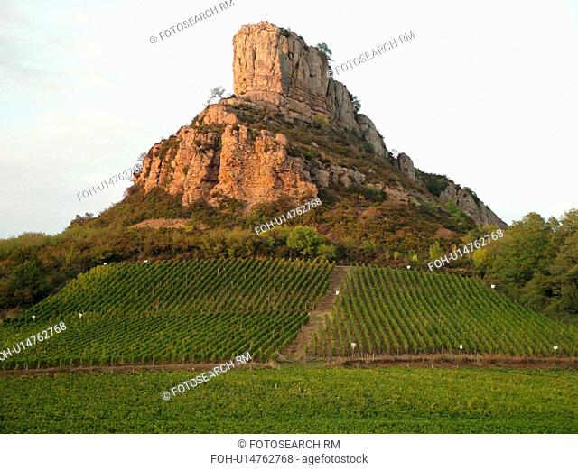 France, Solutre, Soane et Loire, Europe, Beaujolais Region, Pouilly Fuisse Region, La Roche De Solutre, vineyards, wine producing region