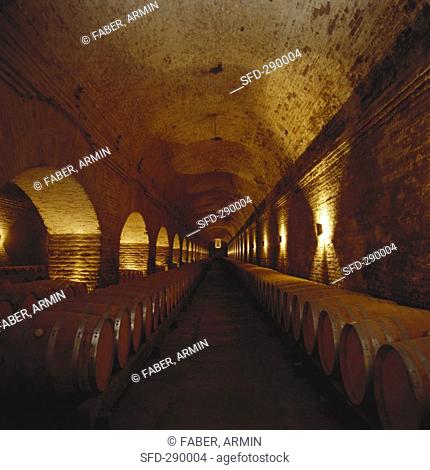 Wine cellar of family-run Viña Cousiño Macul, Chile