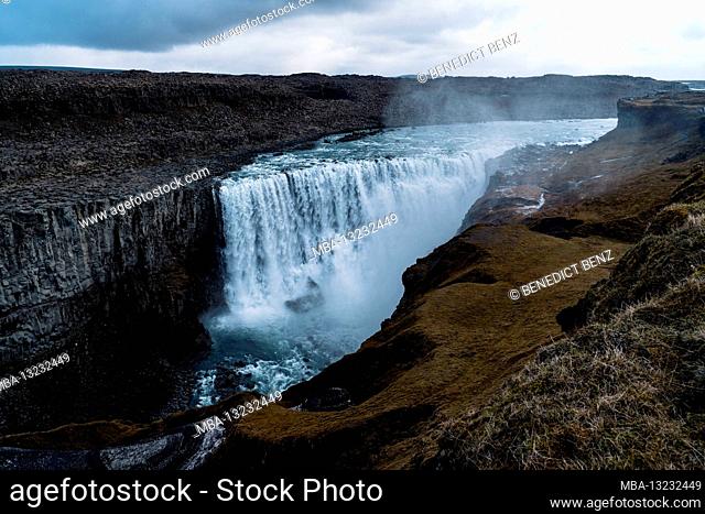 Iceland, Norðurland eystra, Dettifoss, Water, Waterfall, River, Canyon, Flowers, Moss