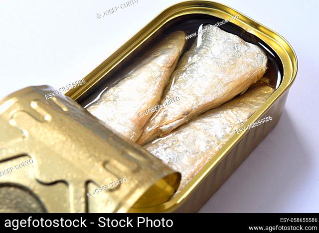 top view of a can of sardines on white background