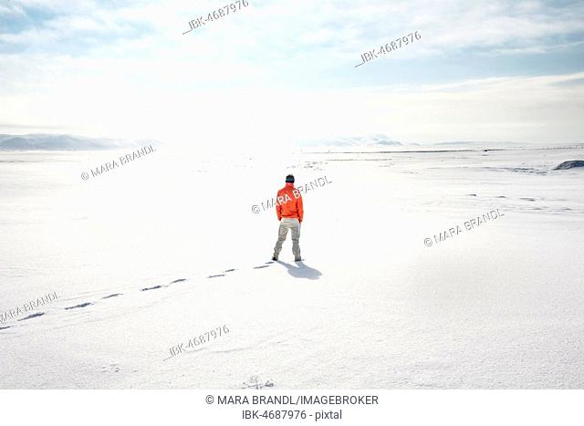 Young man stands alone in snowy landscape, snowy lava fields near Dettifoss, Norðurland eystra, Iceland