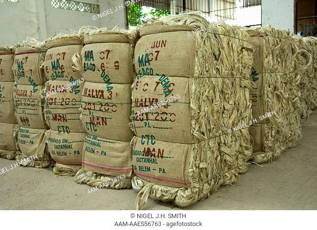 Malva (Urena lobata) fibers pressed into bales ready for shipment to a factory where they will be made into sacks, Companhia Têxtil de Castanhal, Manacapuru