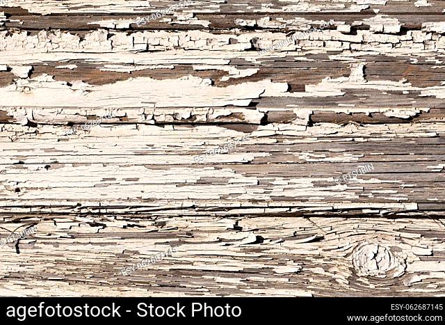 Wooden wall with white paint is severely weathered and peeling