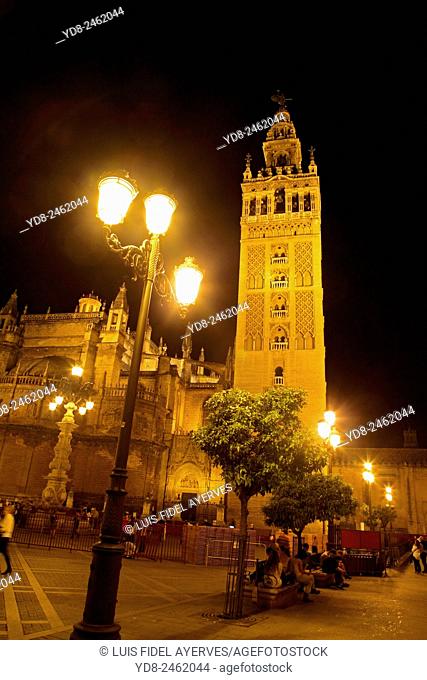 Cetedral night Seville, Spain