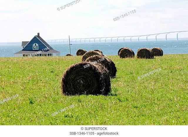 Hay bales in a field with a bridge in the background, Confederation Bridge, Prince Edward Island, New Brunswick, Canada