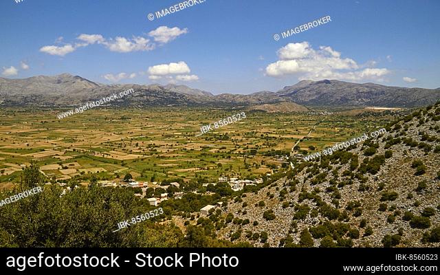 Lassithi plateau, green fields, yellow fields, trees, mountains, Psichro village, Dikte massif, blue sky, single white clouds, Lassithi, East Crete