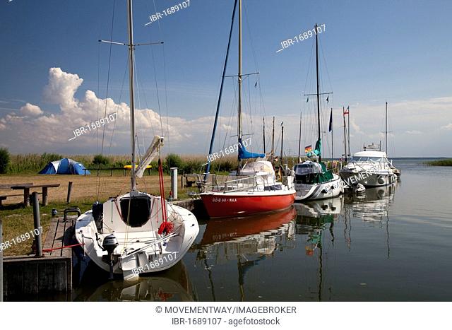 Boats in the harbour, Altenhagen, Fischland, Mecklenburg-Western Pomerania, Germany, Europe