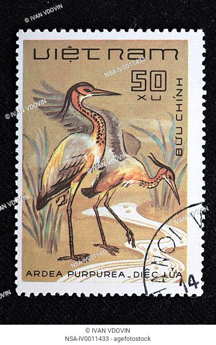 Purple Heron Ardea purpurea, postage stamp, Vietnam