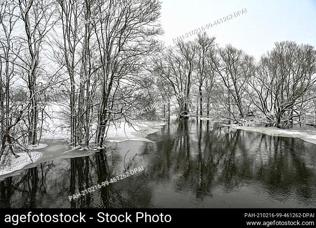 16 February 2021, Brandenburg, Schwedt: Flood water from the German-Polish border river Oder flows into a polder area in the Lower Oder Valley National Park