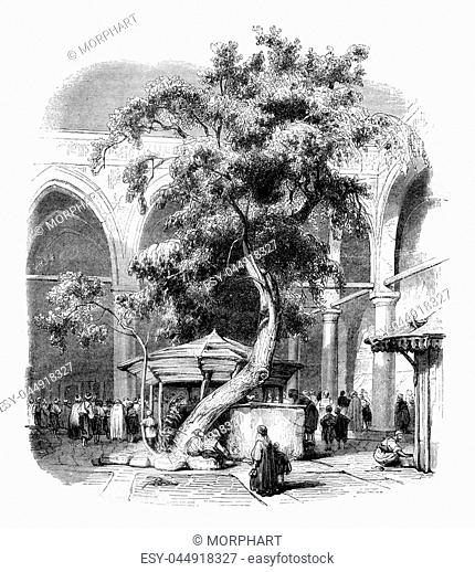 Courtyard of kesmas el baradeyeh mosque, vintage engraved illustration. Magasin Pittoresque 1845